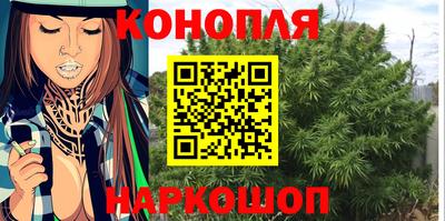 гидра Нальчик