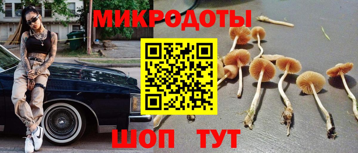 Усть-Джегута  Псилоцибиновые грибы GOLDEN TEACHER  Галлюциногенные грибы ЛСД  закладка  Вход с VPN 