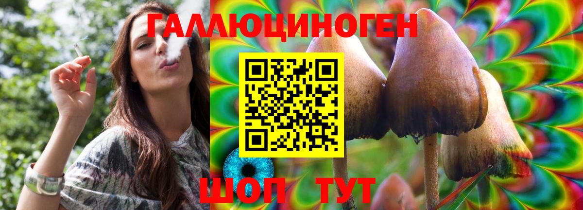 Псилоцибиновые грибы MAGIC MUSHROOMS Усть-Джегута