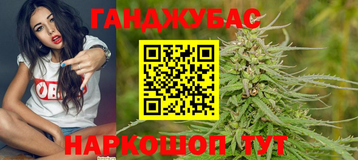 Конопля конопля Усть-Джегута